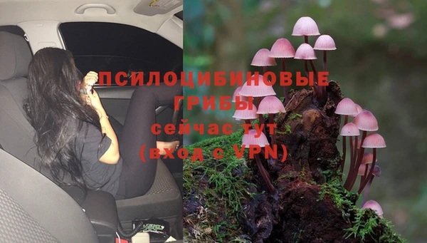 МДПВ Армянск