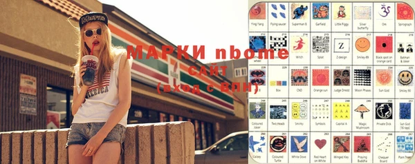 хмурый Няндома