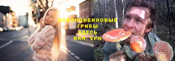МДПВ Армянск