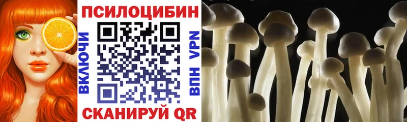 Галлюциногенные грибы MAGIC MUSHROOMS  Валдай 